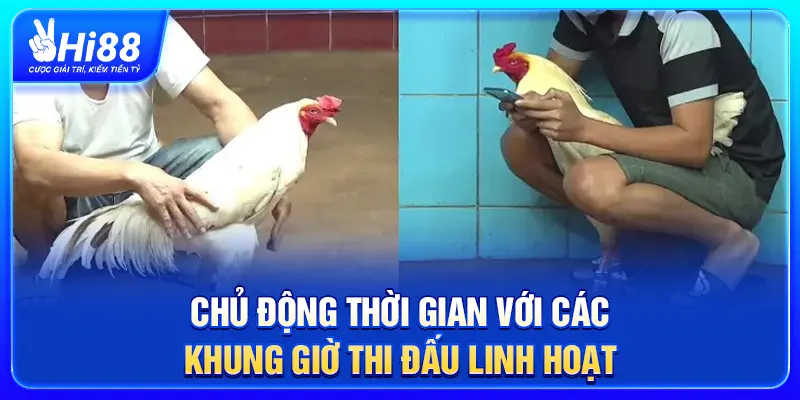 Chủ động thời gian với các khung giờ thi đấu linh hoạt