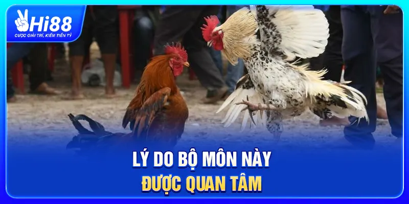 Lý do bộ môn này được quan tâm