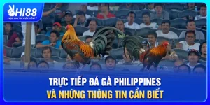 Trực Tiếp Đá Gà Philippines Và Những Thông Tin Cần Biết